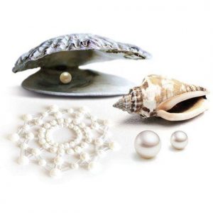 Bijoux Indiscrets Mimi Pearl Fashion & Lingerie | SEX Shop Ireland 3