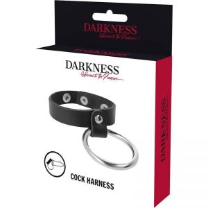 Darkness Metal Ring For The Penis And Testicles Cock Rings | SEX Shop Ireland 3