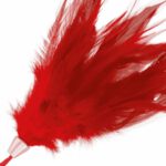 Darkness Red Feather 17cm BDSM Toys & Accessories | SEX Shop Ireland 7