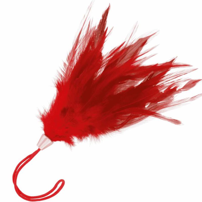 Darkness Red Feather 17cm BDSM Toys & Accessories | SEX Shop Ireland 4