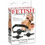 Fetish Fantasy Series Ball Gag Training System BDSM Gags | SEX Shop Ireland 10