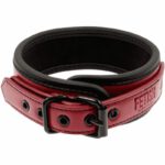 Fetish Submissive Dark Room Collar With Leash BDSM Collars | SEX Shop Ireland 19