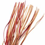 Fetish Submissive Dark Room  Flogger Vegan Leather BDSM Toys & Accessories | SEX Shop Ireland 11