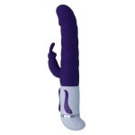 Intense Bobble Vibrator Rabbit Purple Masturbators for Women | SEX Shop Ireland 11