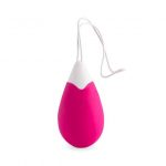 Intense Jan Vibrating Egg Remote Deep Pink Sex Toys | SEX Shop Ireland 12