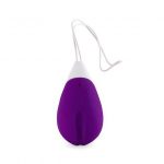 Intense Jan Vibrating Egg Remote Deep Purple Sex Toys | SEX Shop Ireland 12