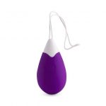 Intense Jan Vibrating Egg Remote Deep Purple Sex Toys | SEX Shop Ireland 11