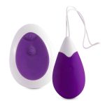 Intense Jan Vibrating Egg Remote Deep Purple Sex Toys | SEX Shop Ireland 13