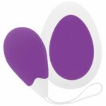 Intense Jan Vibrating Egg Remote Deep Purple Sex Toys | SEX Shop Ireland 14