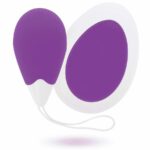 Intense Jan Vibrating Egg Remote Deep Purple Sex Toys | SEX Shop Ireland 15