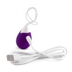 Intense Jan Vibrating Egg Remote Deep Purple Sex Toys | SEX Shop Ireland 17