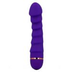 Intense Sally 20 Speeds Silicone Purple Classic Vibrators | SEX Shop Ireland 13