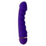 Intense Sally 20 Speeds Silicone Purple Classic Vibrators | SEX Shop Ireland 14