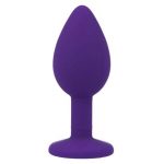 Intense Shelki S Plug Anal Purple Butt Plugs | SEX Shop Ireland 10