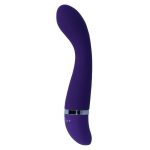 Ntense Leo Vibrator Purple Luxe Clitoral Stimulators | SEX Shop Ireland 13