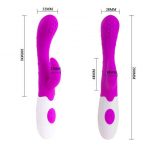 Pretty Love Arthur Vibrator Purple Clitoral Stimulators | SEX Shop Ireland 23