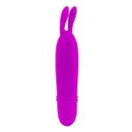 Pretty Love Flirtation – Boyce Stimulator Purple Masturbators for Women | SEX Shop Ireland 17