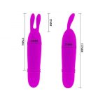 Pretty Love Flirtation – Boyce Stimulator Purple Masturbators for Women | SEX Shop Ireland 20