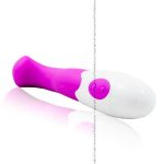 Pretty Love Flirtation – Charles Vibrator Purple Clitoral Stimulators | SEX Shop Ireland 17