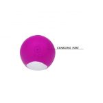 Pretty Love Smart – Paul Massager Sex Toys | SEXstore.ie 19