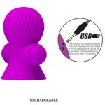 Pretty Love Stimulating Nipple Suckers 12 Modes Of Vibration Purple BDSM Toys & Accessories | SEX Shop Ireland 16