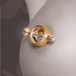 Fetish Fantasy Gold Magnetic Clamps Fetish / Bondage | SEX Shop Ireland 8