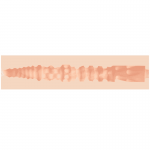 Fleshjack Colby Keller Lumberjack Masturbator Butt Fleshlights | SEX Shop Ireland 9
