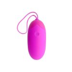 Pretty Love Egg Berger Remote Control 12v Balls, eggs and bullets | SEX Shop Ireland 15