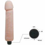 Love Companion Vibrating Dildo 25 Cm Classic Vibrators | SEX Shop Ireland 16