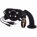 Sevencreations Arnes Strap On With Dildo 12.5 Cm Dildos | SEX Shop Ireland 6