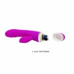 Pretty Love Flirtation – David Vibrator With Rabbit Rabbit Vibrators | SEX Shop Ireland 18
