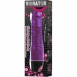 Baile Multispeed Vibrator Purple Vibrators | SEX Shop Ireland 8