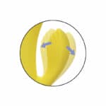 Calex San Diego Seduction Rabbit Vibrators | SEX Shop Ireland 18