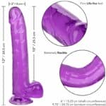 Calex Size Queen Dildo – Purple 25.5 Cm Dildos | SEX Shop Ireland 16