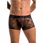 Passion 032 Short James Black S/m Boxer shorts | SEX Shop Ireland 12