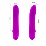 Pretty Love Flirtation – Beck Vibrator Purple Classic Vibrators | SEX Shop Ireland 17