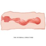 CRAZY BULL – JANE VAGINA MASTURBATOR 13.5 CM Sex Toys for Men | SEX Shop Ireland 14