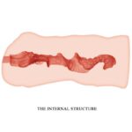 CRAZY BULL – LINDA VAGINA MASTURBATOR 13.7 CM Sex Toys for Men | SEX Shop Ireland 12