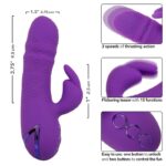 CALEXOTICS – MANHATTAN BEACH MARVEL VIBRATOR RABBIT PURPLE BY CALIFORNIA DREAMING Rabbit Vibrators | SEX Shop Ireland 20