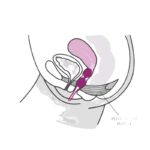 FUN FACTORY – SMARTBALLS DUO PELVIC BALLS WHITE / PASTEL LILAC Balls, eggs and bullets | SEXstore.ie 10
