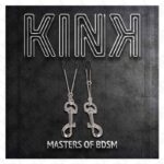 KINK – THIN HOOK NIPPLE CLAMP SILVER 7 CM BDSM Gear & Accessories | SEX Shop Ireland 13