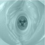 PRETTY LOVE – MASHA MALE MASTURBATOR BLUE Fleshlights | SEX Shop Ireland 13