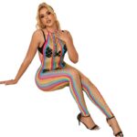 SUBBLIME – 952358 RAINBOW HALTER NECK FISHNET BODYSTOCKING ONE SIZE Bodystocking | SEX Shop Ireland 20