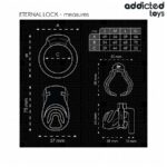 ADDICTED TOYS LOCKED – ETERNAL LOCK PENIS CAGE 9 CM BDSM Cages & Chastity Rings | SEX Shop Ireland 15
