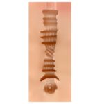 SHEQU – EDITH VAGINA MASTURBATOR Sex Toys | SEX Shop Ireland 12