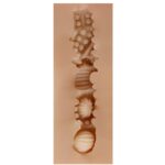 SHEQU – EUNICE VAGINA MASTURBATOR Sex Toys | SEX Shop Ireland 12