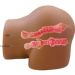 CRAZY BULL – GERIANN REALISTIC FEMALE BUTT VIBRATOR AND SUCKER WITH SOUND 5.5 KG Sex Dolls | SEX Shop Ireland 18