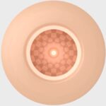 PRETTY LOVE – MALE MASTURBATOR EGG FLESH MODEL 2 Egg Masturbators | SEX Shop Ireland 16