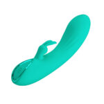PRETTY LOVE – DJ STICK G-SPOT TURQUOISE VIBRATOR G-spot Vibrators | SEX Shop Ireland 17