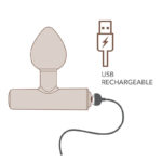 ROCKS-OFF – NOVA ASTRYX RECHARGEABLE PREMIUM & POWERFUL ANAL PLUG 16 FUNCTION BLACK Anal Sex Toys | SEX Shop Ireland 25